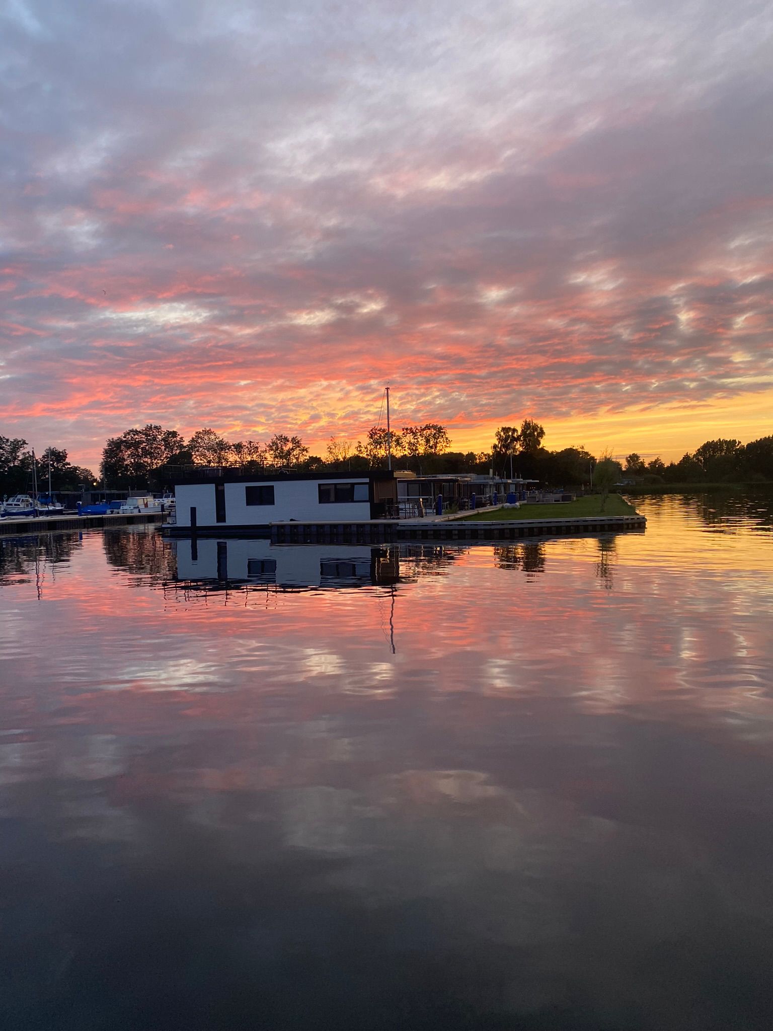 placeholder image-sq